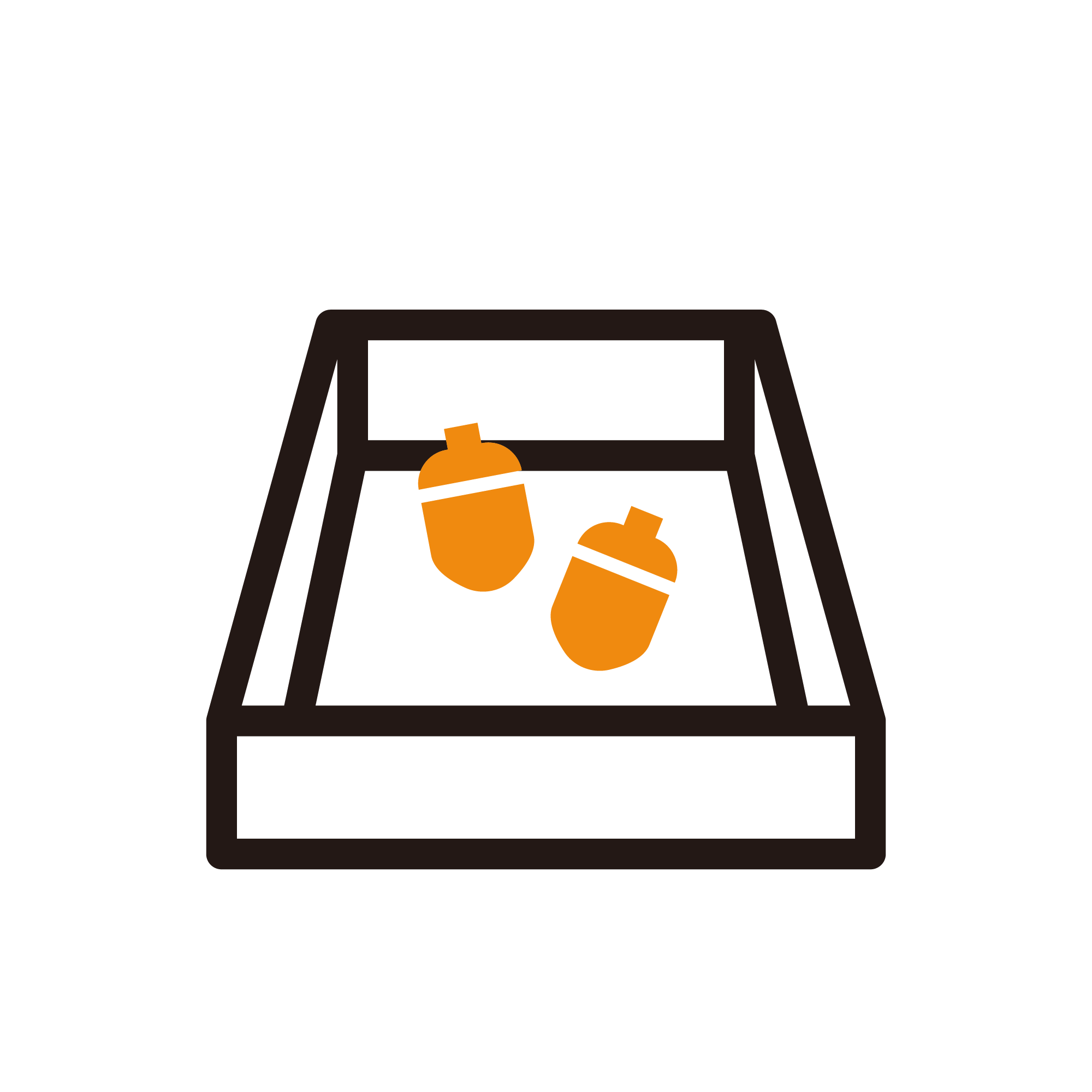 お道具箱の中のどんぐり