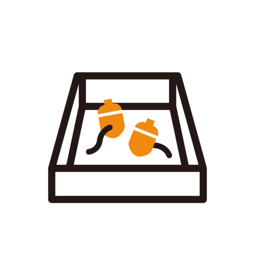 お道具箱のどんぐりから虫が出てくる